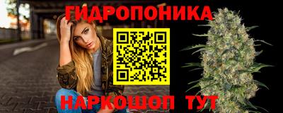 стаф Малоярославец